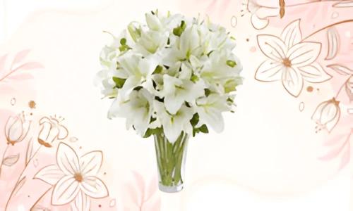 Send Lilies to India