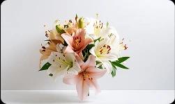 Online Anniversary Flowers to Australia