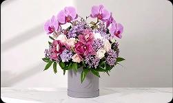 Goodluck Flowers to Australia