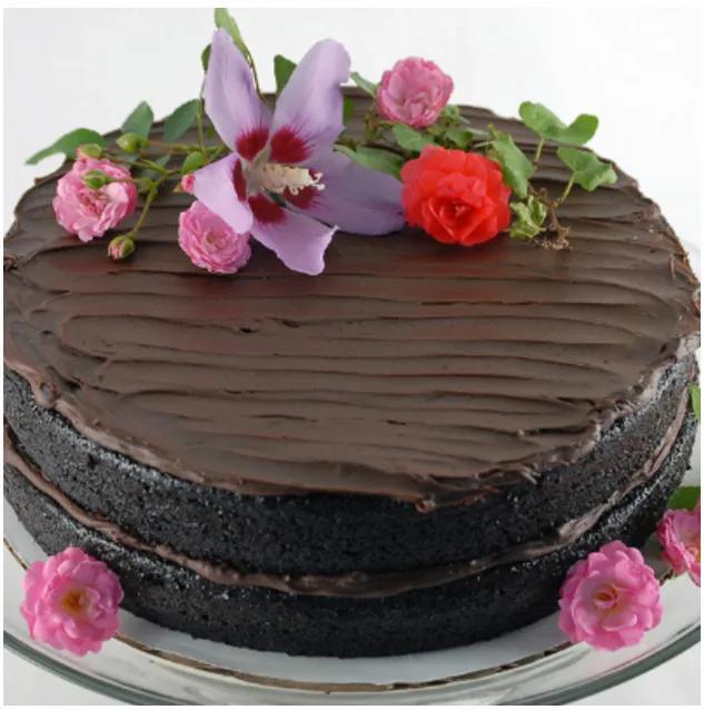 Delicious Double Chocolate Cake