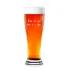 Rounded Pilsner Tall Round and Handsome Glass 16oz