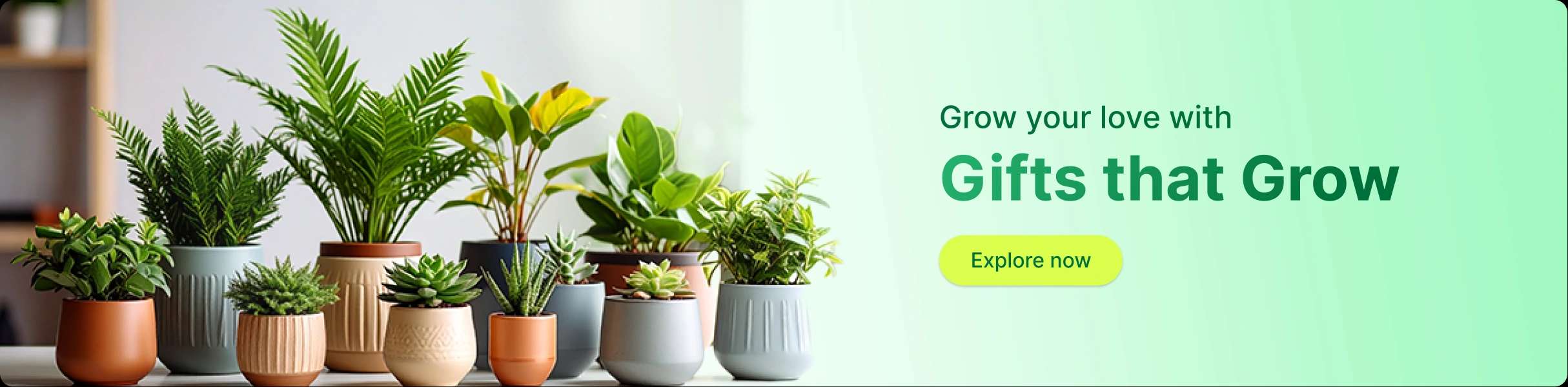 Plants to India