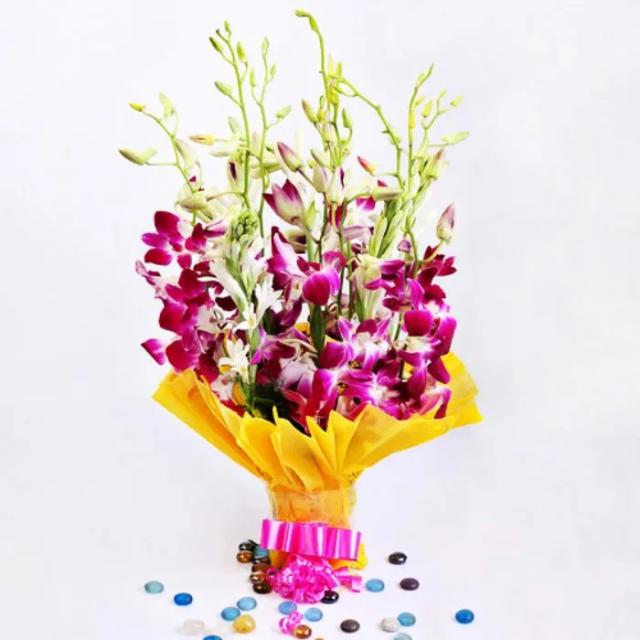 Enticing Orchids