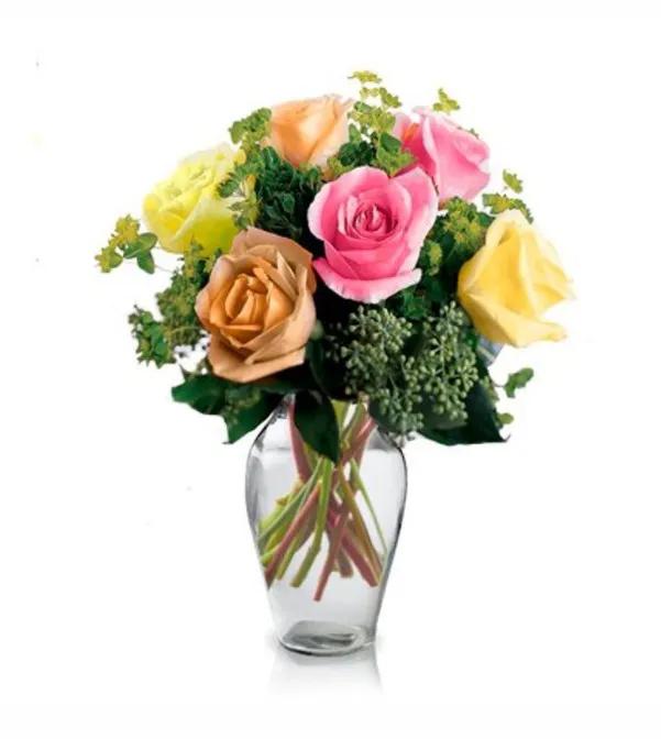 6 Long Stemmed Assorted Roses