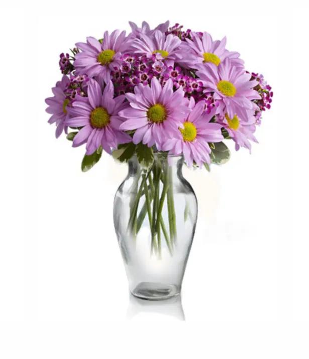 Classic Mauve Daisy Bouquet