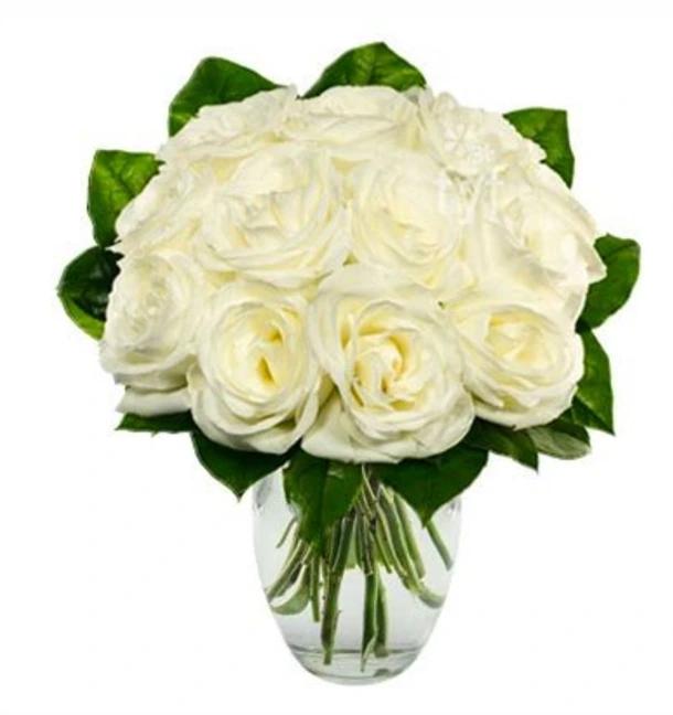 One Dozen White Roses