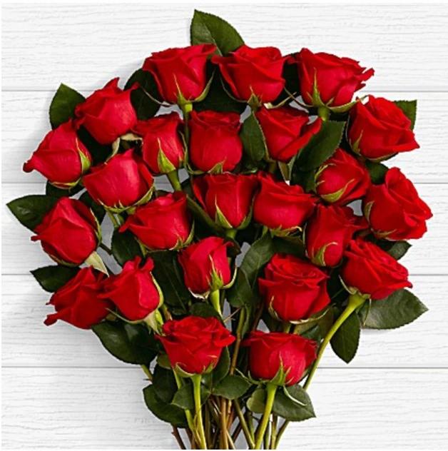 Two Dozen Long Stemmed Red Roses