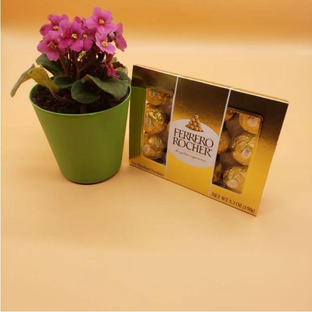 African Violet with Ferrero