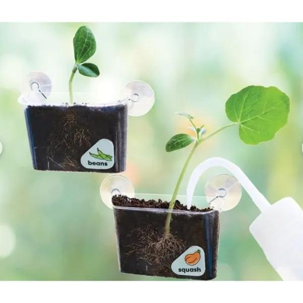 Window Garden