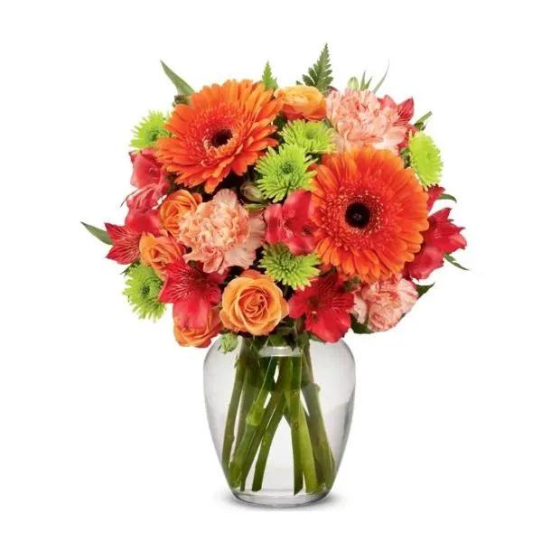 Vibrant and Bright