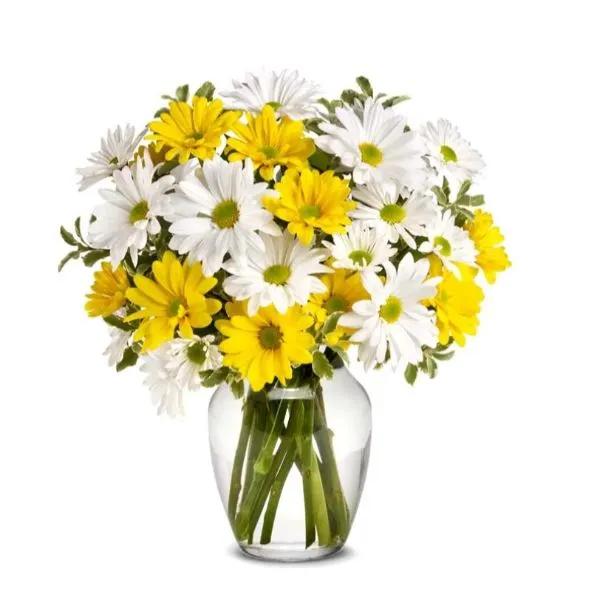 Upsy Daisy