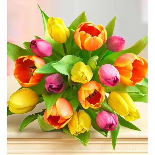 Assorted Tulip Bouquet