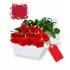 One Dozen Gift Boxed Red Roses
