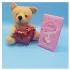 Lindt Chocolate with Cute Teddy
