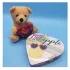 Endearing Teddy with Chocolate