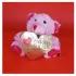 Heart Shape Ferrero with Lovely Teddy