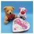 Charming Teddy Combo with Chocolate