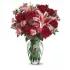 Pink & Red Delight