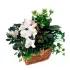 White Blooming Planter Basket
