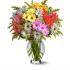 Classic Assorted Colour Daisy Bouquet