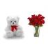 Cute Teddy Combo