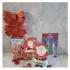 Santa's Surprise