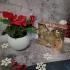 Assorted Chocolate Truffles With Red Poinsettia