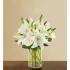 Classic All White Arrangement