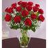 Rose Elegance Premium Long Stem Red Roses