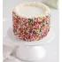 Rainbow Sprinkle Celebration Cake