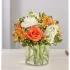 Beautiful Sweet Citrus Bouquet