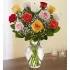 Rose Elegance Premium Long Stem Assorted Roses