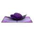 Ornate Purple Rose Bloom Pop Up Card