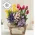 Farmstand Bulb Garden