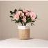 Pink Petals Rosalea Rich Plant