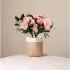 Pink Petals Rosalea Plant
