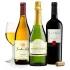 Premium Party Starter