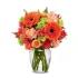 Vibrant and Bright