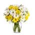 Upsy Daisy