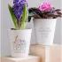 Love Grows Here Personalized Mini Flower Pot