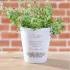 My Sister Personalized Mini Flower Pot