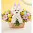 Hoppy Easter